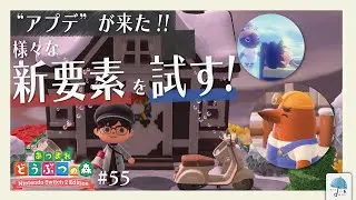 待望のアプデがやってきた！！アプデで『新しく増えたコト』やっていこっ！！！ ＃55【#あつまれどうぶつの森】