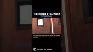 The Hound Dog of Hollywood: The Audition | Dark Comedy Mockumentary | Jordan Leer