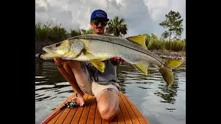Mega inshore snook on light tackle and paddle board