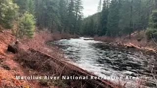 (HD) HIKING HIGHLIGHTS - East Metolius River Trail in Winter - Exploring the Forested Shoreline
