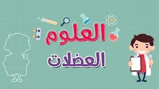 العلوم | العضلات