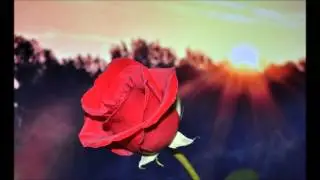 Anti Aging Binaural Beats - Look Younger, Feel Better