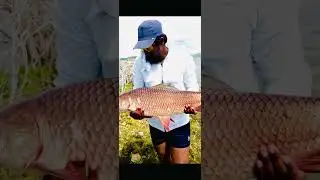 My personal Best Rohu 🎣 #fishing #carpfishing #fish #carp