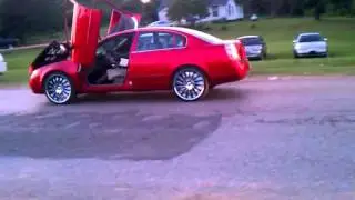 Boykin Mayday 2011.......Nice!!!!!!!