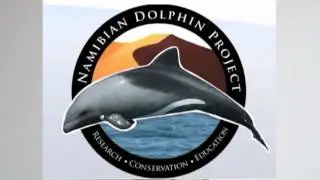 Namibian Dolphin Project Fundraising