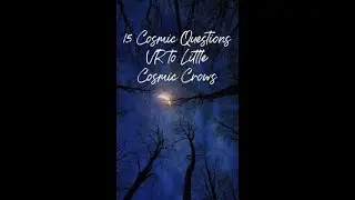 VR to Little  Cosmic Crows Tag #15CosmicQuestions