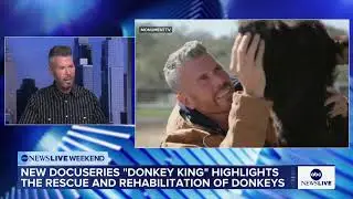 ABC News - Новый документальный сериал рассказывает о спасении и реабилитации ослов.
