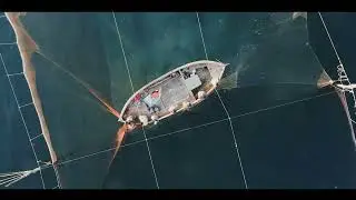 Tuna Fishing in Washington: A Step-by-Step Guide