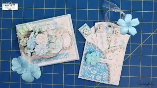See the Petal Fresh Collection in Action!