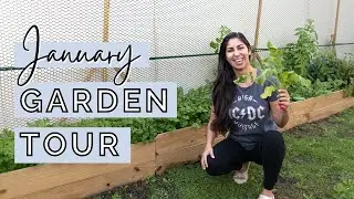 January Garden Tour | 2022 Gardening