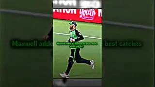 Maxwell's catch 🤯 #shorts #cricket #bbl #happynewyear #2025 #maxwell
