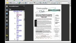 Acrobat: Accessibility Check