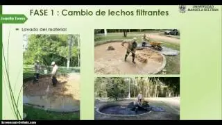 VIABILIDAD AMBIENTAL