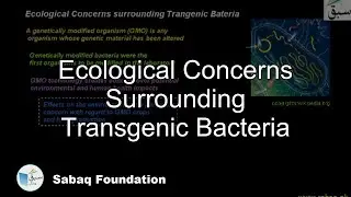 Ecological Concerns surrounding Transgenic Bacteria, Biology Lecture | Sabaq.pk