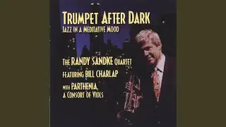Blues for Sandy