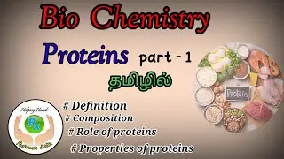 Proteins in Tamil. #definition#biochemistry#properties#compositionofproteins