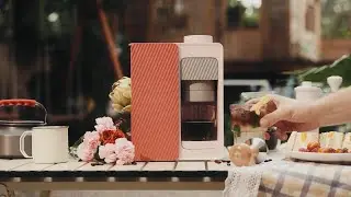 Ciarra BloomBox: Savor the Bittersweet Bloom