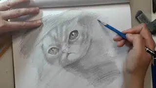 Cat painting with a new technique I learned. Sketch in pencil. Amazing sketches black and white  :-)