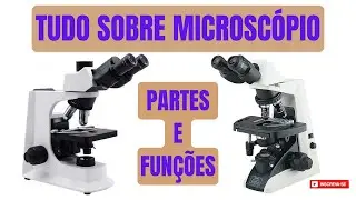 Microscópio - Como funciona, partes e funções do microscópio Óptico Binocular