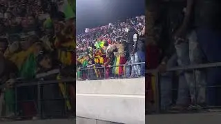 La joie des Supporters maliens apres la victoire #can2025 #football #mali