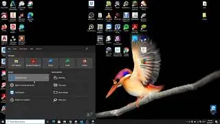 Openshot Video3