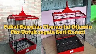 🔴Review Sangkar Yang Pas Untuk Kenari Lokal-Ys
