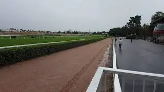 Hippodrome Bordeaux le bouscat galop