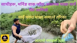 morning walk जाँदा अचानक माछा मार्नतिर लागियो ||कहाँ जाँदै छौ माछी तिमी मेरो ढडियामा|village fishing