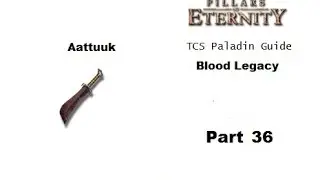 TCS Paladin Guide - Pillars of Eternity PART 36 ACT 2 - Blood Legacy