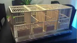 jaula artesanal 4  (4 en 1) //  trap cage 4 (four cage 1)