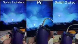 hollow knight input lag - switch 2 vs pc