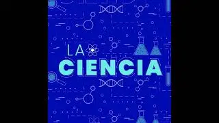 La Ciencia | Los suplementos que est&aacute;s tomando para nada
