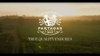 Partagas /// True Quality Endures