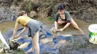 Jaring Ikan Keruk: Memancing Tradisional, Membuat Perangkap Ikan untuk Menangkap Ikan Raksasa