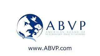 Becoming an ABVP Diplomate