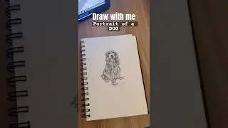 Can I sketch your dawg!? 🐕 #youtubeshorts #art #dogshorts #animaldrawing #dogs #explore #artshorts
