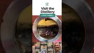 Entdecke die weltweit preisgekr&ouml;nten Awildian Gins, die in Neuseeland hergestellt werden