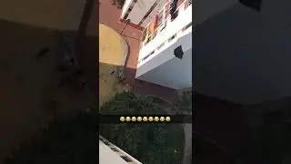 Throwing things from the balcony to people