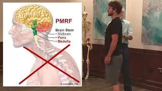 PMRF Biofunctional Exams for Upper Cross Syndrome - Erik Dalton, PhD - MASSAGE Magazine