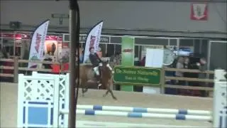 Lexius E van het juxschot