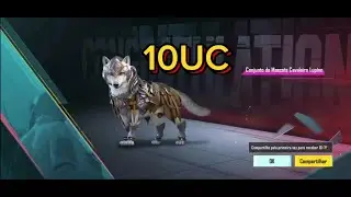 LOBO NEW - CONJUNTO DE MASCOTE CAVALEIRO LUPINO PUBG MOBILE