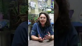 DO QUE OS CASCUDOS SE ALIMENTAM?