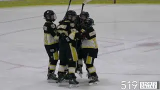 Under-12 Hockey (Boys AAA) - Cambridge Hawks vs Waterloo Wolves