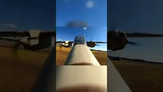What Happens When a Plane Flies THIS Low?