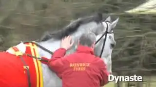 Cheltenham Stable Tour: David Pipe