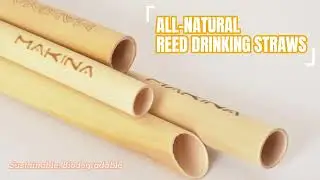 Shanghai Makina Reed Drinking Straws