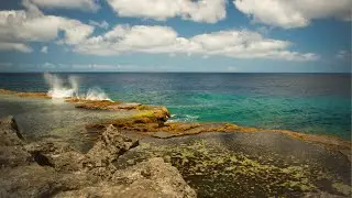 Teens4Oceans and Ocean Classrooms in Akumal Teaser