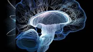 Cient&iacute;ficos descubren un universo multidimensional en nuestro cerebro