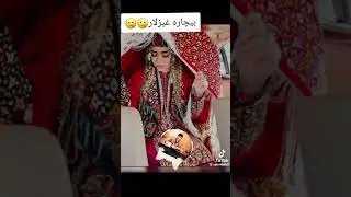 حبیب نوچه