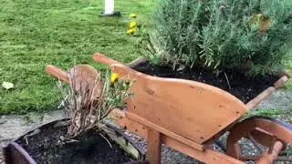 Oto&ntilde;o en Lund